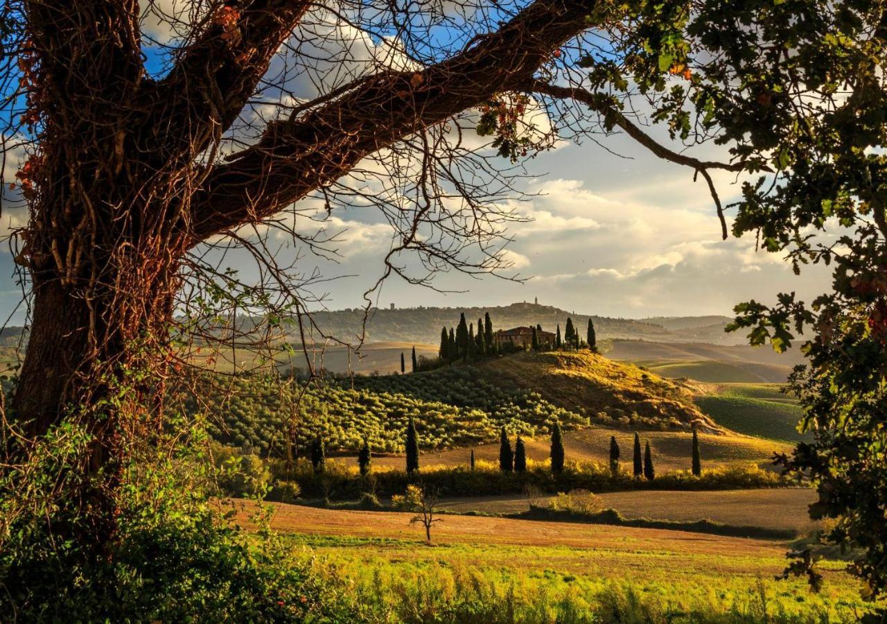 15 Min Da Montepulciano - Villa Chiara Montefollonico Exteriör bild